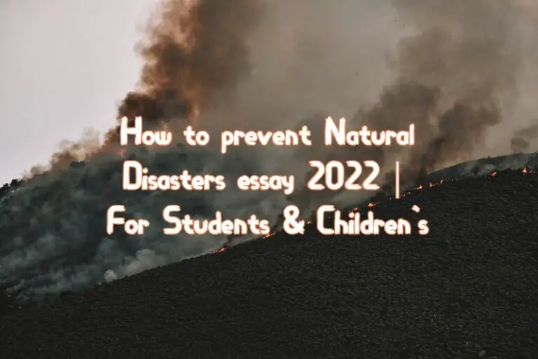 prevention natural disasters essay